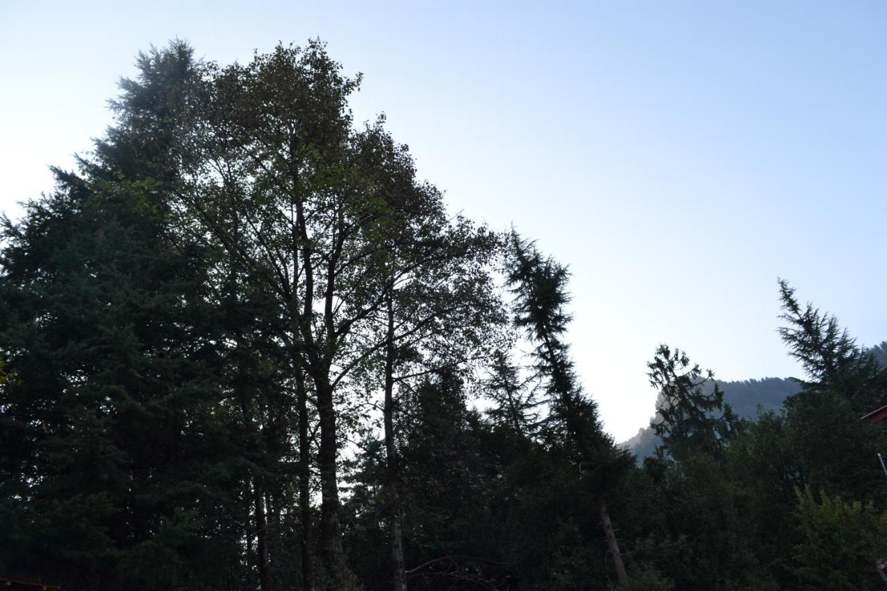 Forest Wood Cottage Manāli Екстериор снимка